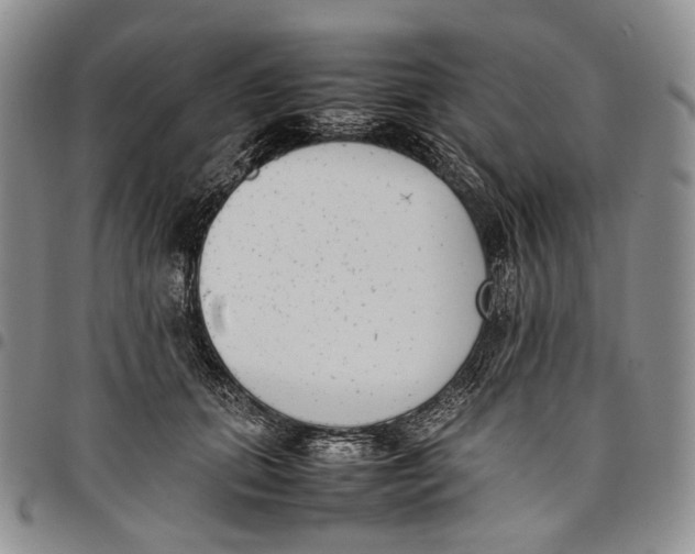 X0000097980655200804141118