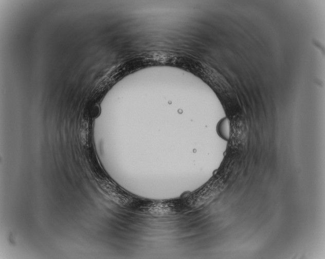 X0000097980656200804141118