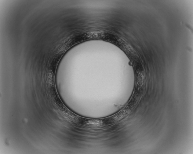 X0000097980659200804141118