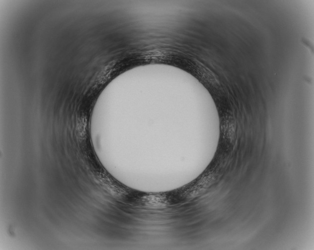 X0000097980660200804141118