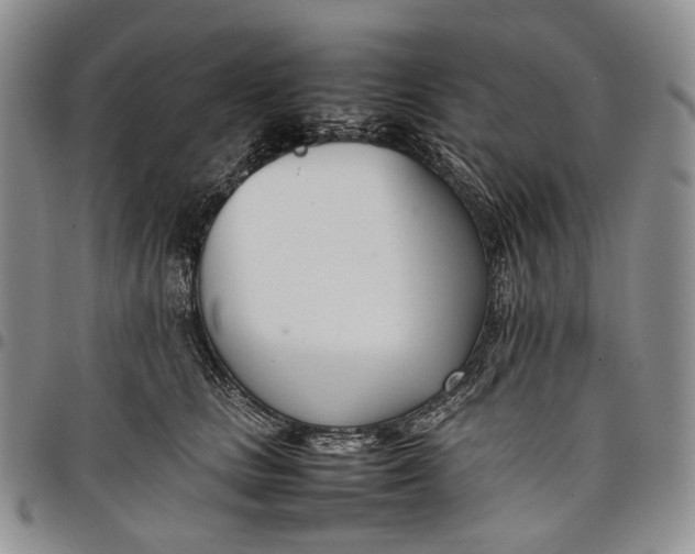 X0000097980661200804141118