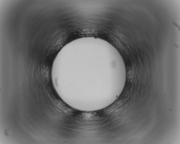 X0000097980662200804141118