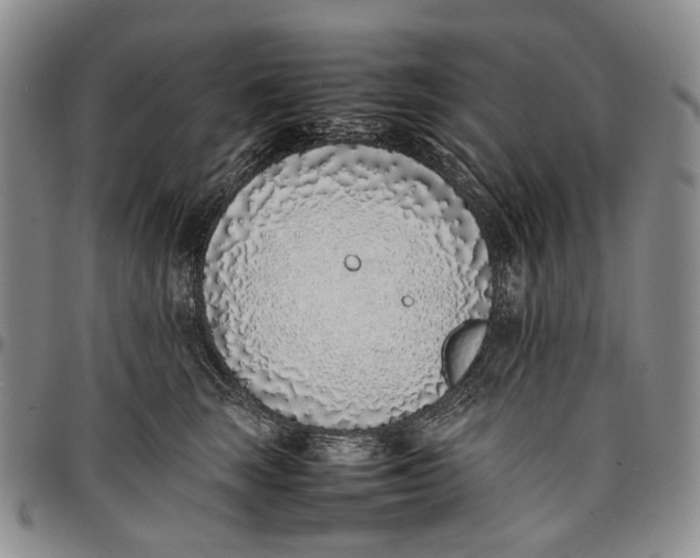 X0000097980663200804141118