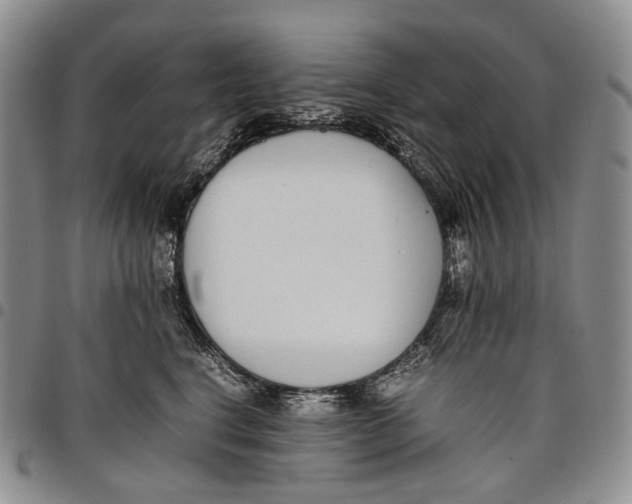 X0000097980664200804141118