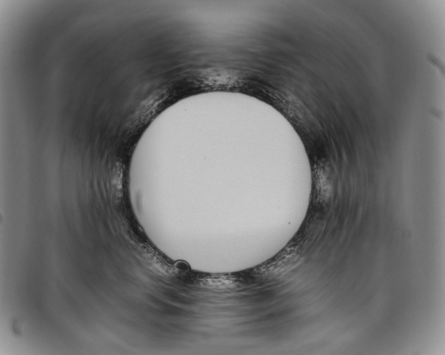 X0000097980668200804141118