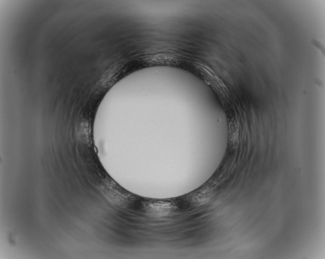 X0000097980669200804141118