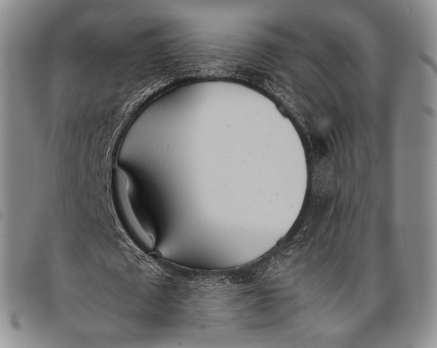 X0000097980673200804141118