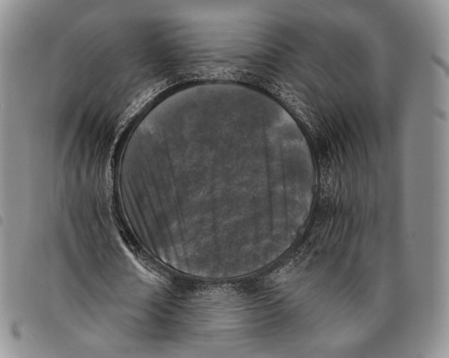 X0000097980674200804141118