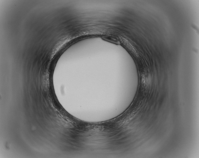 X0000097980676200804141118