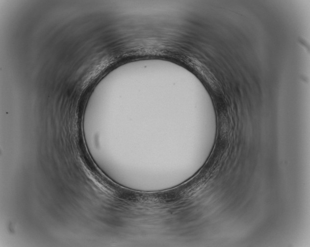 X0000097980677200804141118