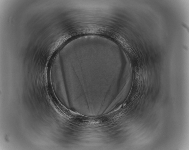 X0000097980678200804141118