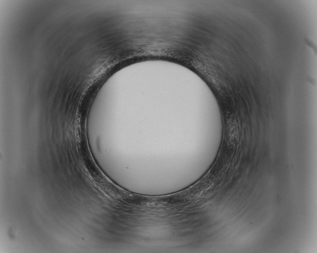 X0000097980680200804141118