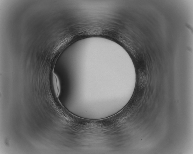 X0000097980681200804141118