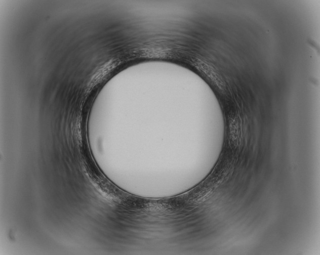 X0000097980682200804141118