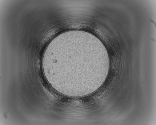 X0000097980683200804141118