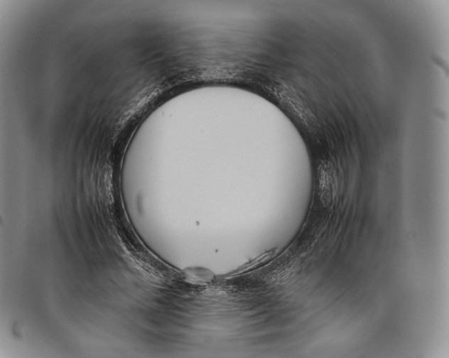 X0000097980684200804141117