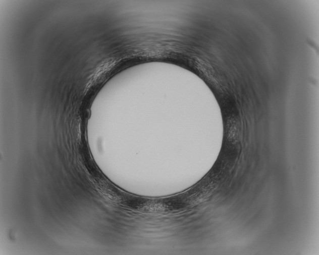 X0000097980685200804141117