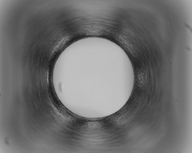 X0000097980686200804141117