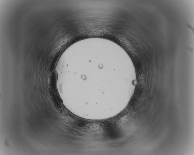 X0000097980687200804141117