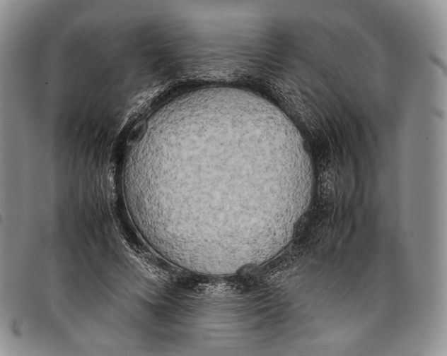 X0000097980688200804141117