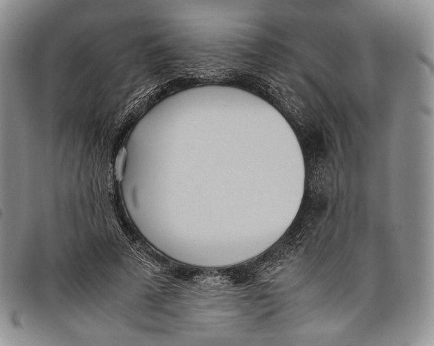 X0000097980689200804141117