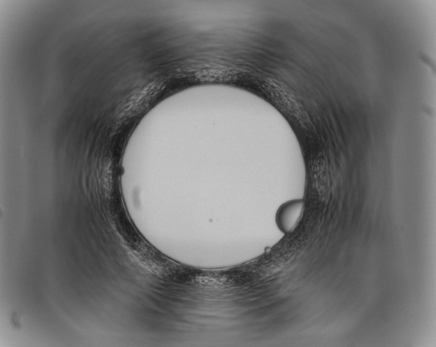 X0000097980690200804141117