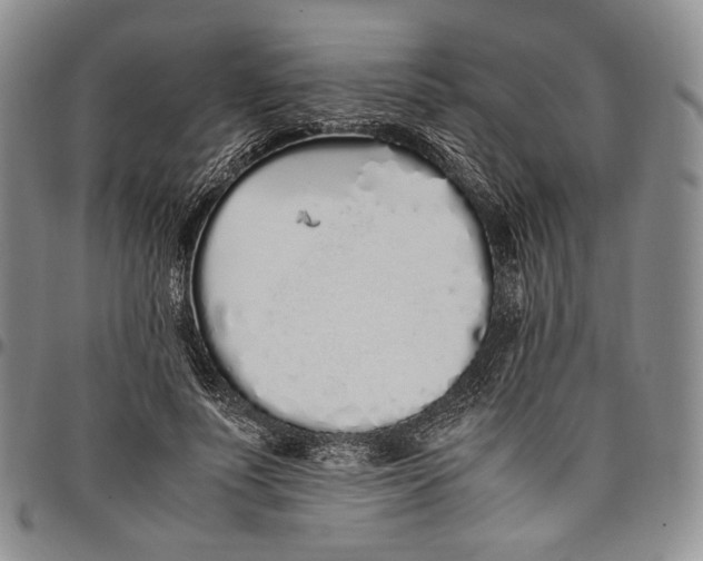 X0000097980691200804141117