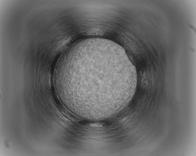 X0000097980692200804141117