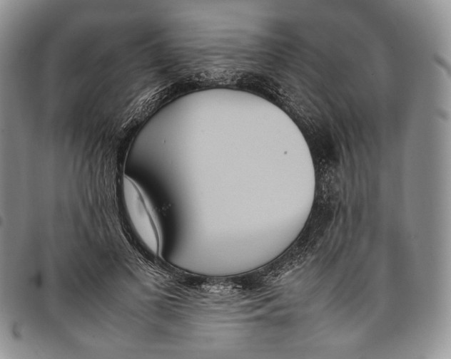 X0000097980693200804141117