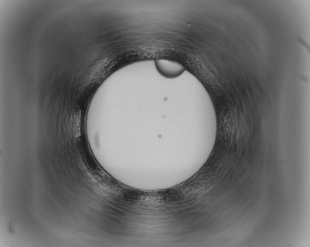 X0000097980694200804141117