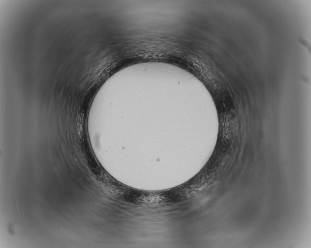 X0000097980695200804141117