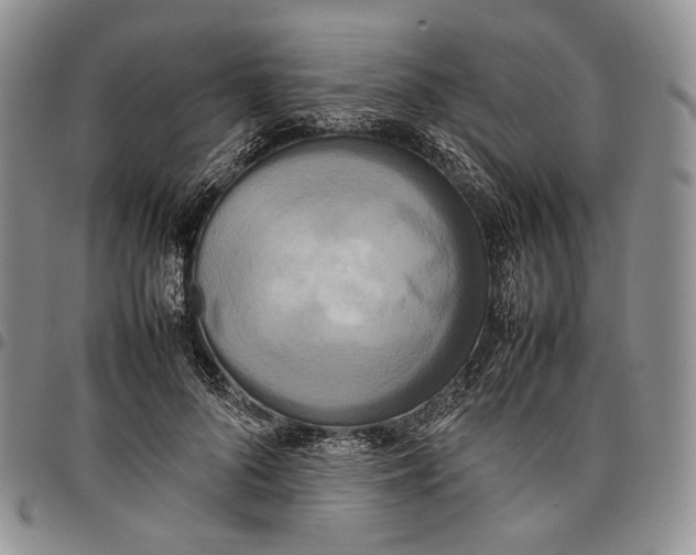 X0000097980696200804141117