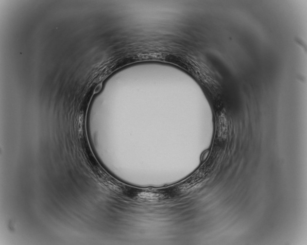 X0000097980699200804141117