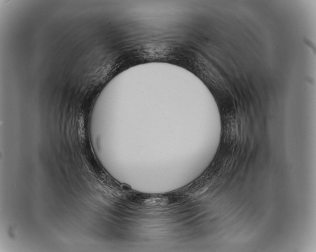 X0000097980700200804141117