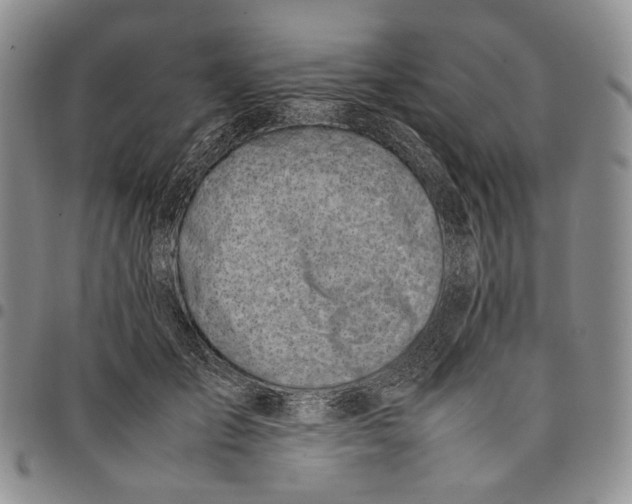 X0000097980701200804141117