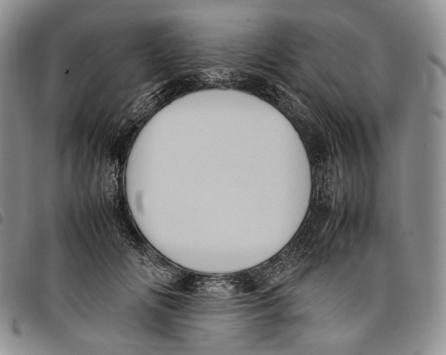 X0000097980702200804141117