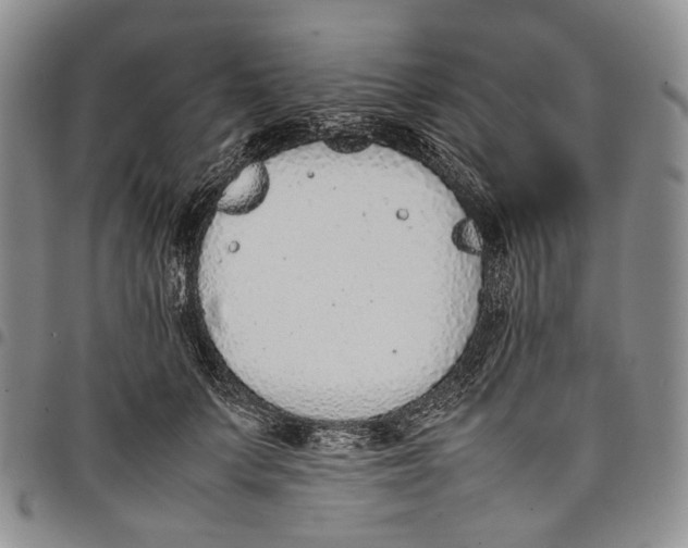 X0000097980703200804141117