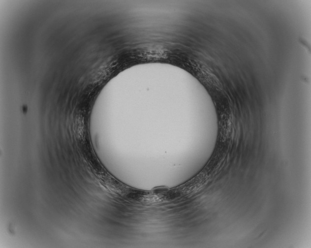 X0000097980704200804141117