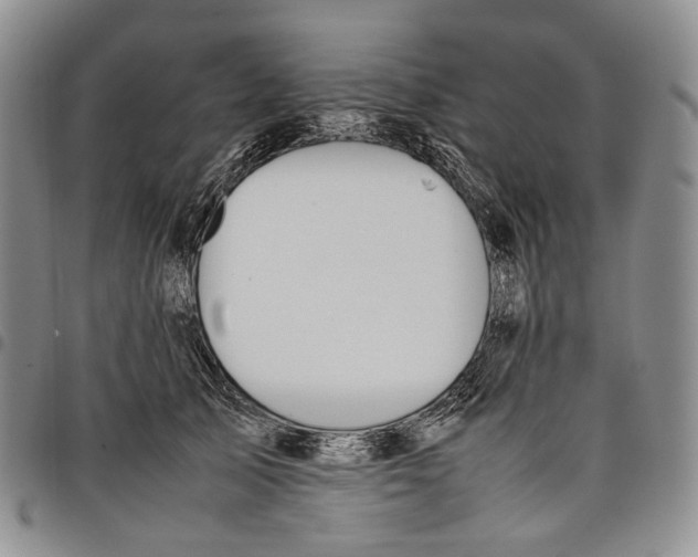 X0000097980705200804141117