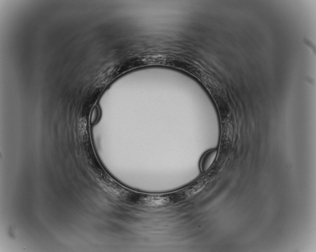 X0000097980711200804141117