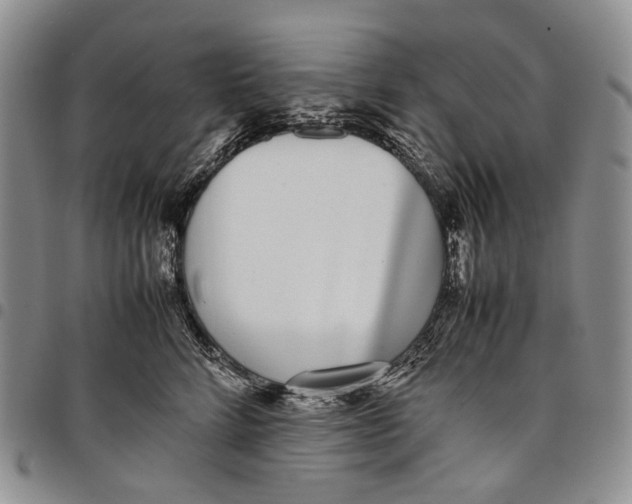 X0000097980712200804141117