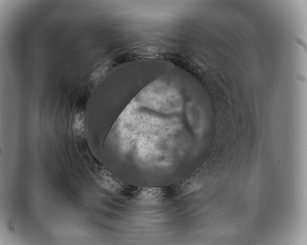 X0000097980720200804141117