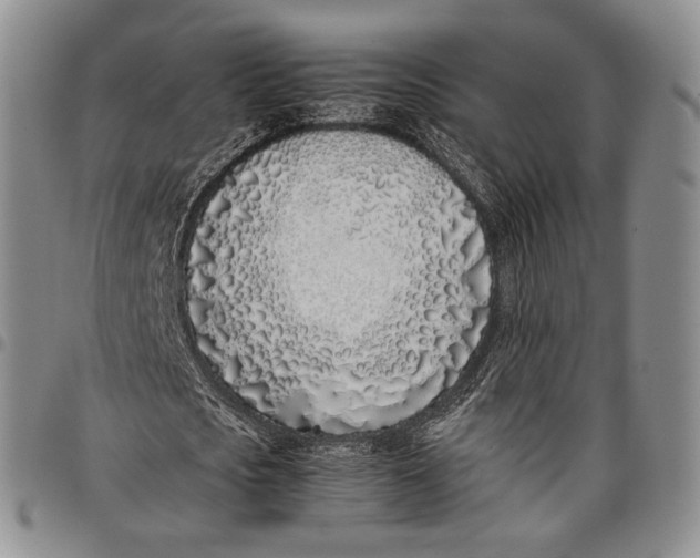 X0000097980721200804141116