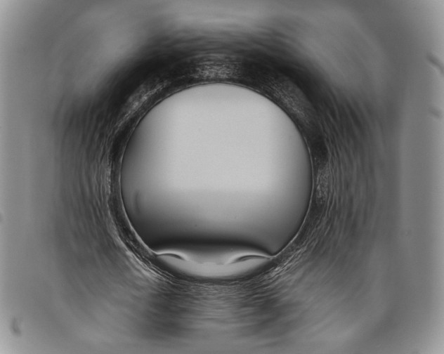 X0000097980722200804141116