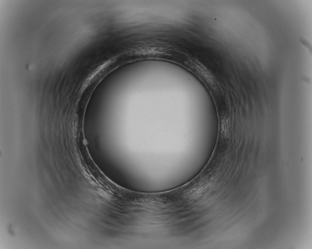 X0000097980724200804141116