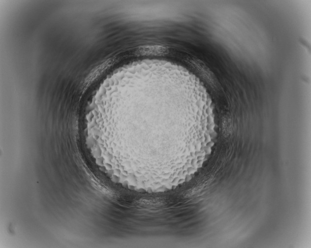 X0000097980725200804141116