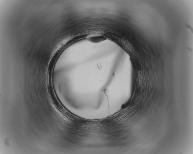 X0000097980726200804141116