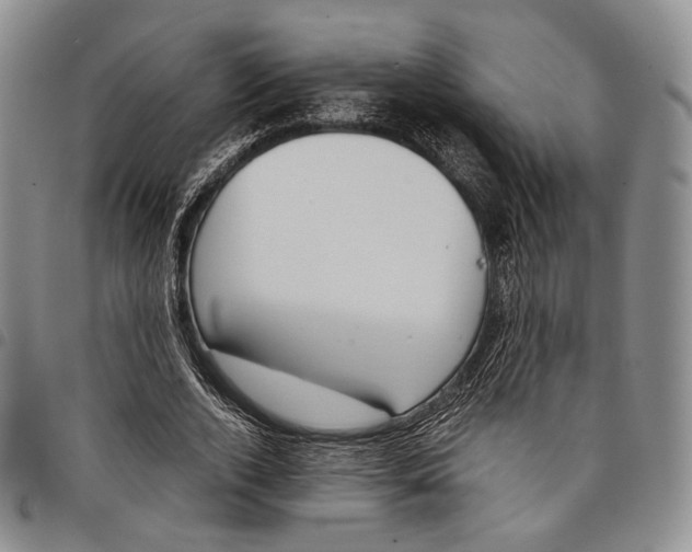 X0000097980728200804141116