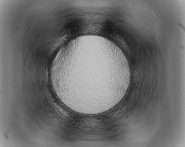 X0000097980729200804141116