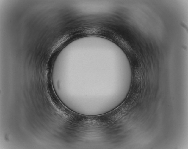 X0000097980730200804141116